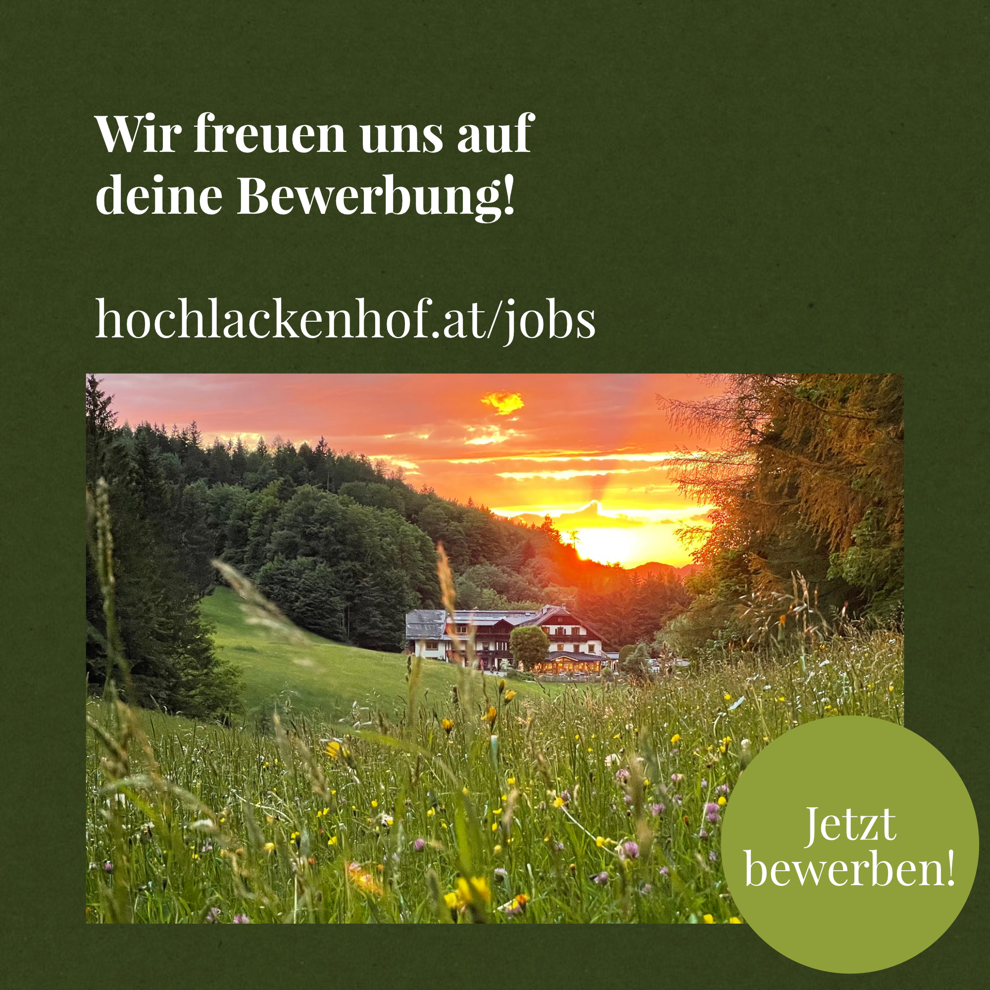 Hochlacken_Job-Postings-v1